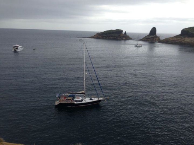 navegando con dragut nou